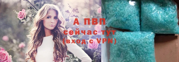 ГАЛЛЮЦИНОГЕННЫЕ ГРИБЫ Зеленодольск