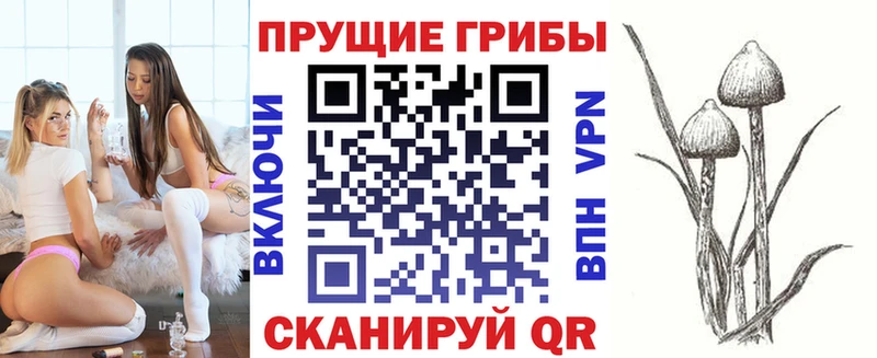 Псилоцибиновые грибы Magic Shrooms  darknet какой сайт  Домодедово 