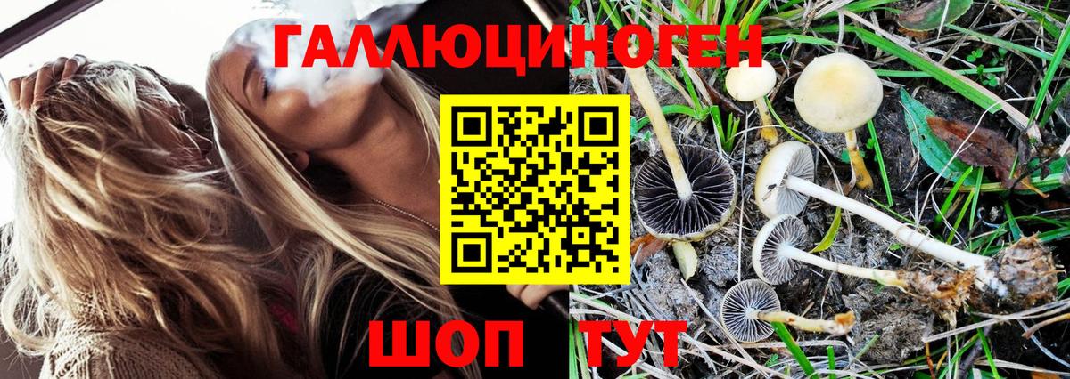 Галлюциногенные грибы Magic Shrooms  где купить наркотик  Домодедово  Вход с VPN 